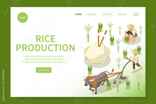 Rice Production Isometric Website