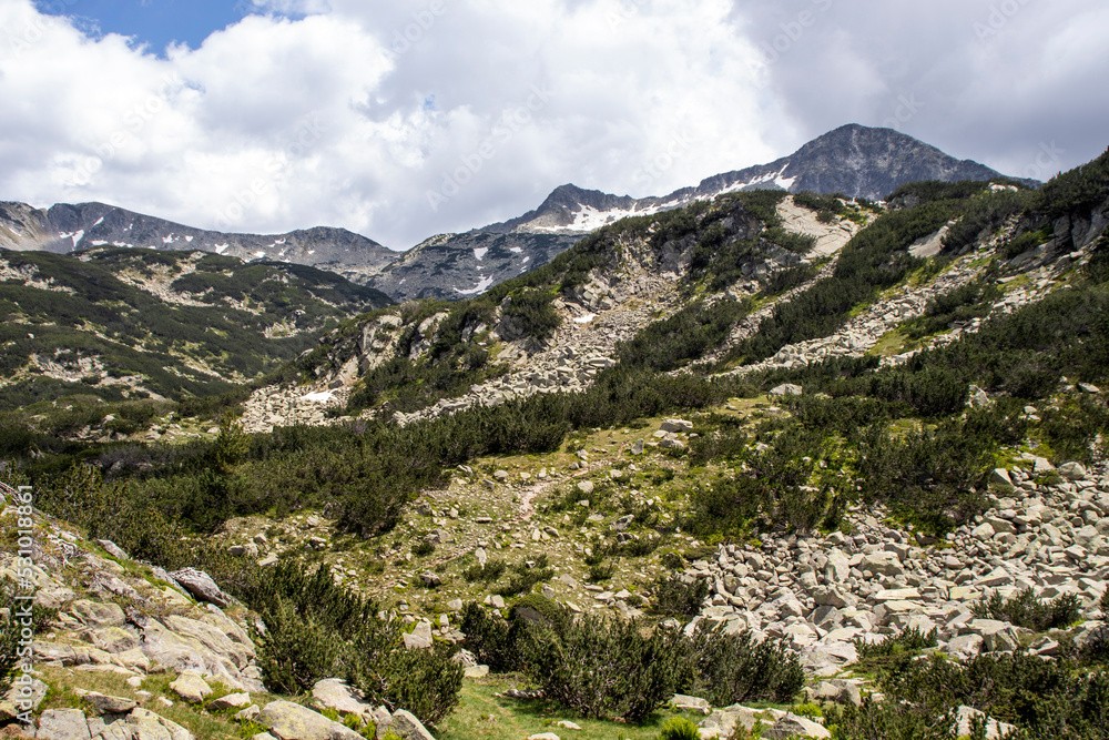 Summer landscape of Pirin Mountain near Muratovo lake, Bulgaria