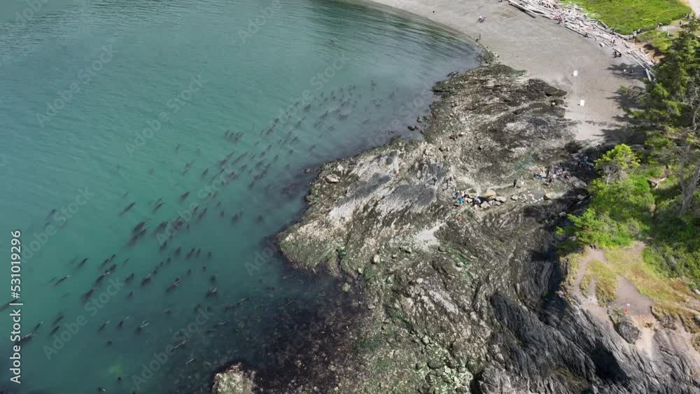 Drone shot of tidal pools area in Washington State. Drone shot of tidal pools area in Washington State.