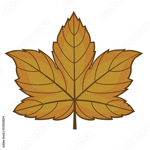 maple leaf icon with colour © Ryan
