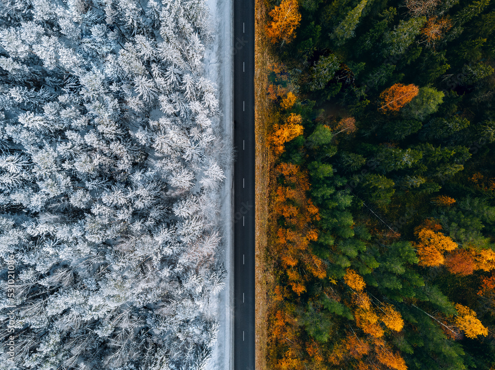 Aerial view of a road through the forest in fall or autumn and winter Aerial view of a road through the forest in fall or autumn and winter