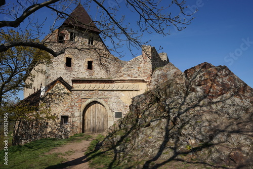 Tocnik Castle, historic monument in Central Bohemian Region and popular tourist landmark, Tocnik, Czechia photo