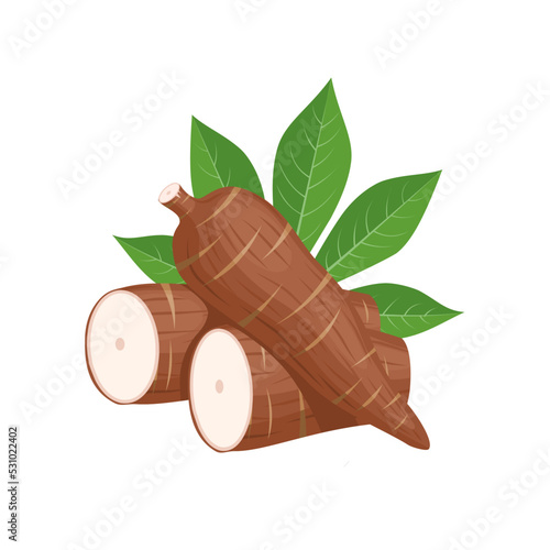 Vector illustration, cassava root (Manihot esculenta, also known as manioc) and leaves, isolated on white background, as a banner, poster or national tapioca day template.