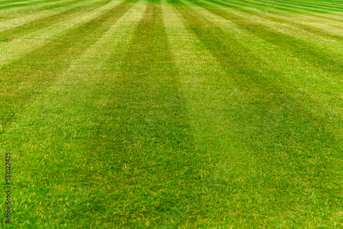 cut stripes on the field, green turf