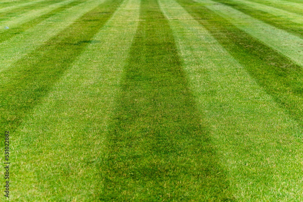 cut stripes on the field, green turf cut stripes on the field, green turf