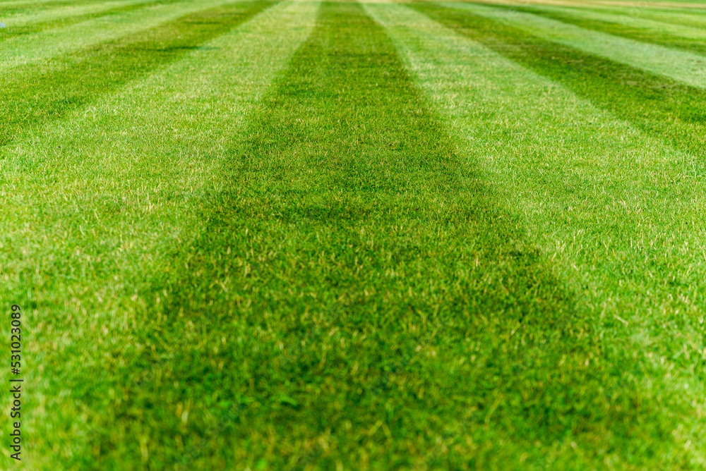 cut stripes on the field, green turf cut stripes on the field, green turf