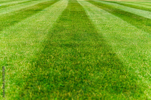 cut stripes on the field, green turf