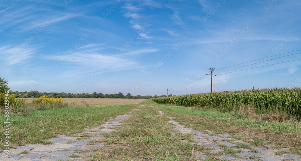 polna droga i linia elektryczna pośrodku łąk i pól, krajobraz podmiejski w rejonie zachodniej polski a w tle zielone drzewa błękitne niebo