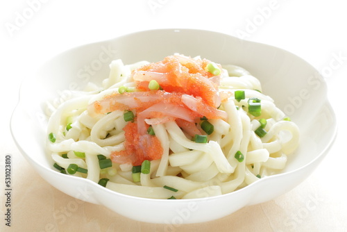 Japanese food, raw squid and Mentaiko sauce on cold Udon noodles for Sumer food image 