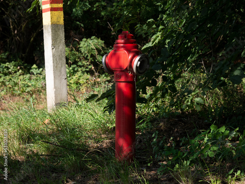 Hydrant stojący przy zalesionej drodze w obszarze wiejskim zachodniej Polski o letniej porze 
