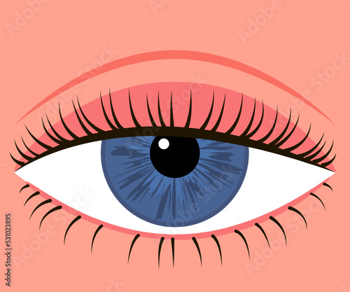 Eye with down lid. Blepharoplasty, eyelid surgery. Correction aesthetic view of eye. Vector illustration