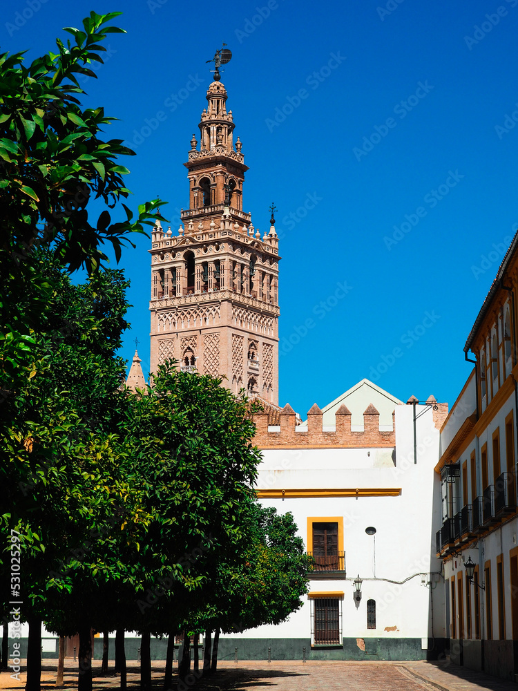 Panoramic view of the Giralda of Seville from th Patio de Banderas.