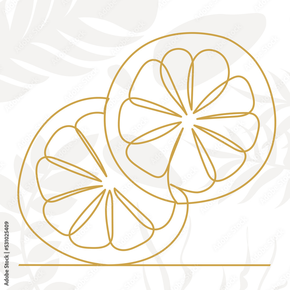 orange sketch, one continuous line drawing, vector orange sketch, one continuous line drawing, vector