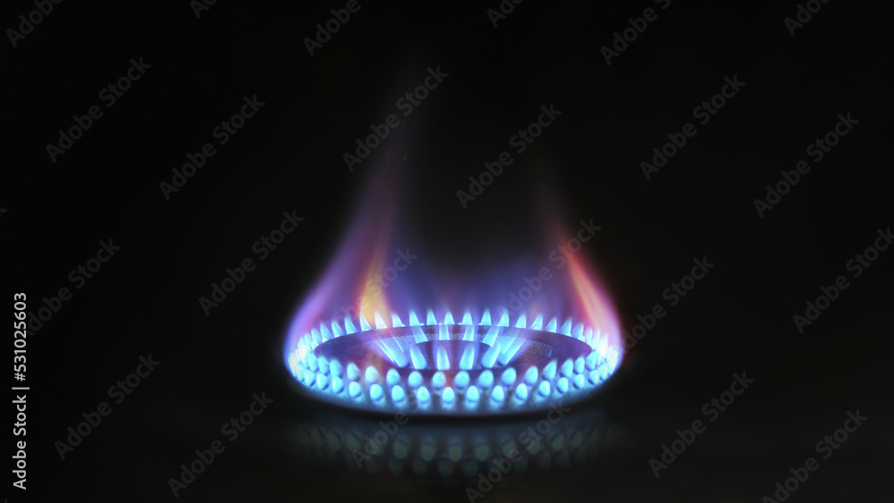 gas oven - orange tongues of blue flame of a gas burner - obrazy, fototapety, plakaty 