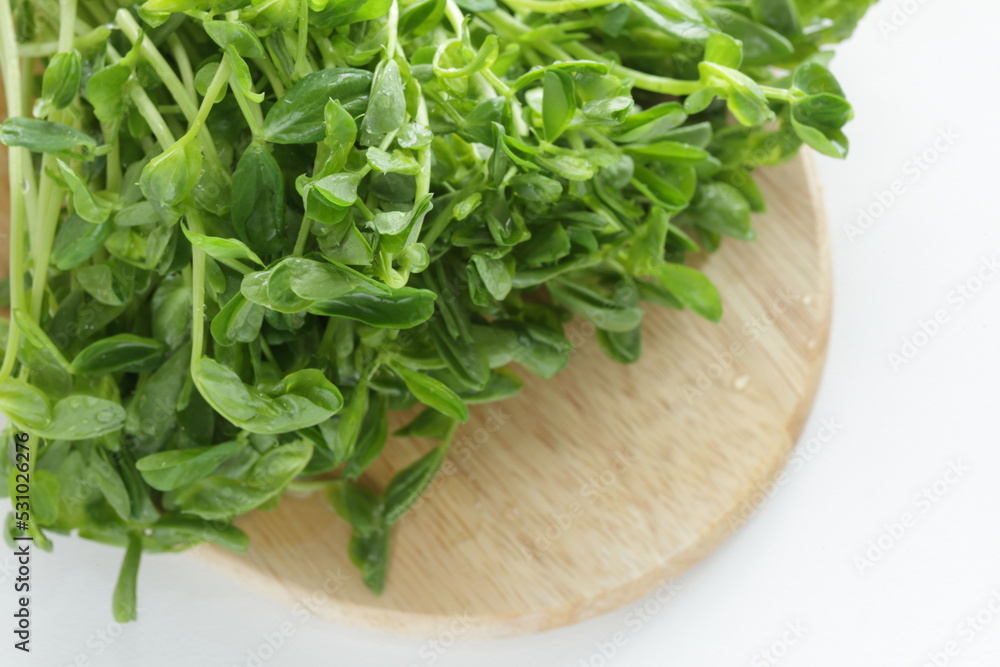 Chinese vegetable, pea sprout on wooden plate Chinese vegetable, pea sprout on wooden plate