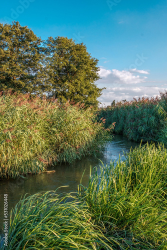 Naturlandschaft mit Wasserlauf  Schilfgesäumt photo