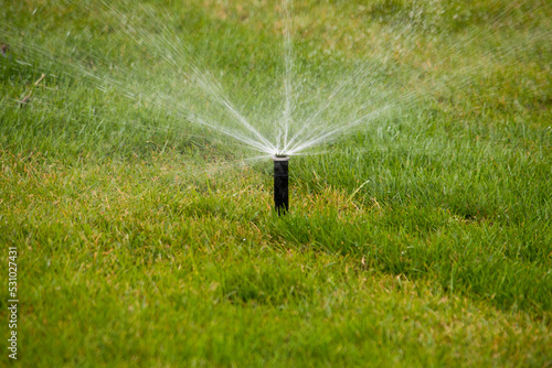 Automatic Garden Sprinkler. Backyard Watering Technology.