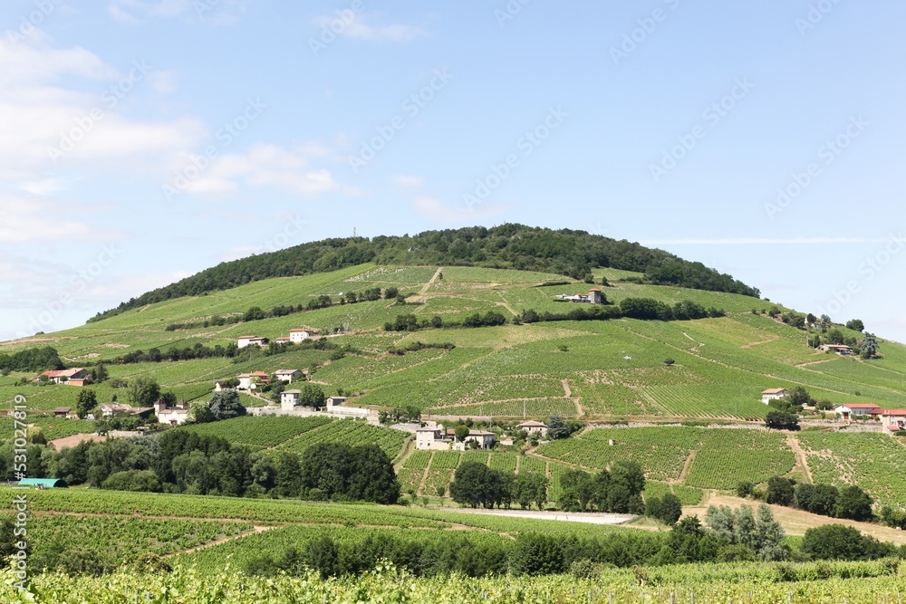 View of Mont Brouilly and vineyards in Beaujolais, France