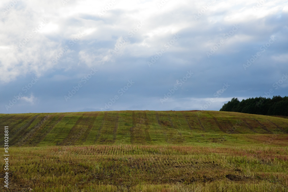 mowed mountain in autumn with forest in the distance and deer on a cloudy day mowed mountain in autumn with forest in the distance and deer on a cloudy day