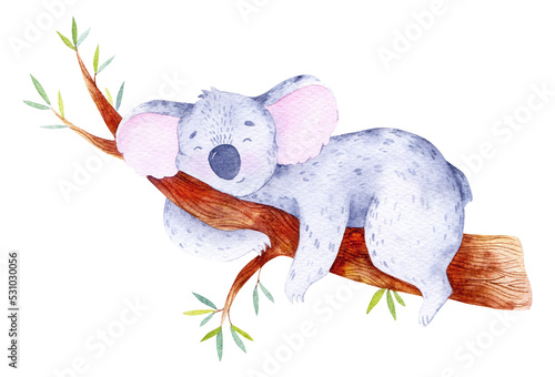 Canvas Print Watercolor baby animal jungle illustration, safari animals