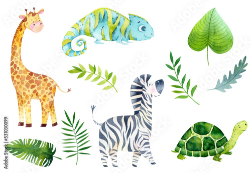 Watercolor baby animal jungle illustration  safari animals. Zebra   chameleon  giraffe  turtle  wild animal graphic collection. Exotic birds and flowers