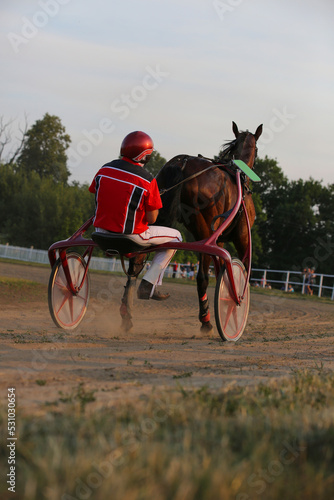 Horse and rider running  at horse races