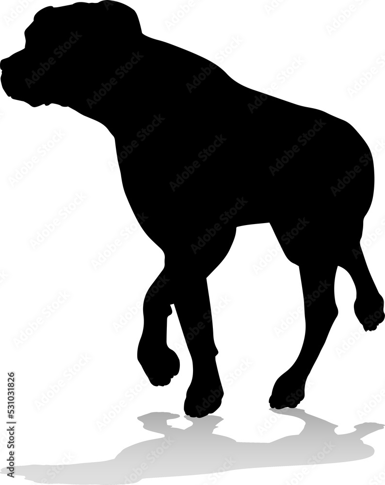 Fototapeta premium Dog Silhouette Pet Animal