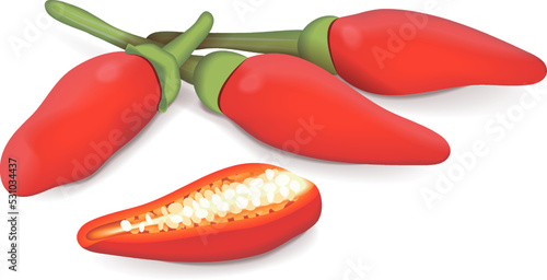 Whole and half of Peri peri peppers. Peri peri peppers. Piri Piri. Piripiri. Pili pili. Bird's eye peppers. Siling labuyo. Fresh organic vegetables. Vector illustration isolated on white background.