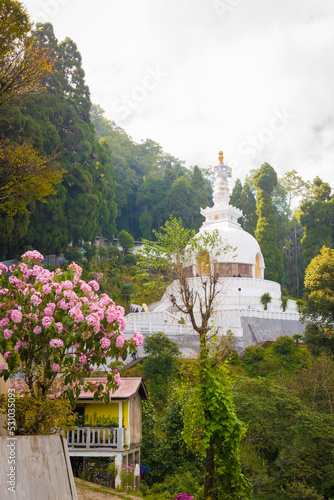 Beautiful rhododendron flowers and Japanese Shanti-Stupa or Peace Pagoda temple in the hills of Darjeeling, India.