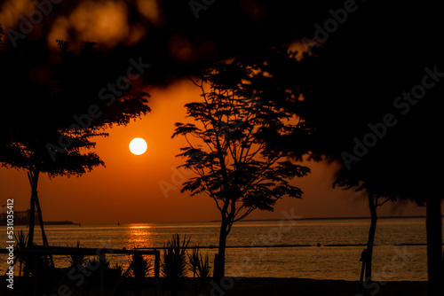 Doha Sunrise through the trees