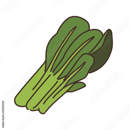 野菜のイラスト　農産物　食べ物　食材　食品 小松菜