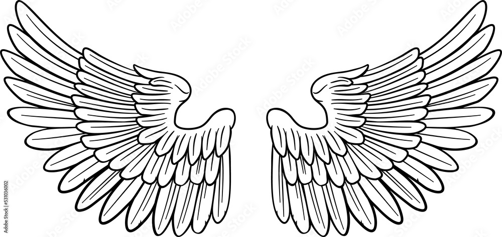 Obraz premium Wings Angel or Eagle Pair