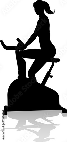 Gym Woman Silhouette Statio...
