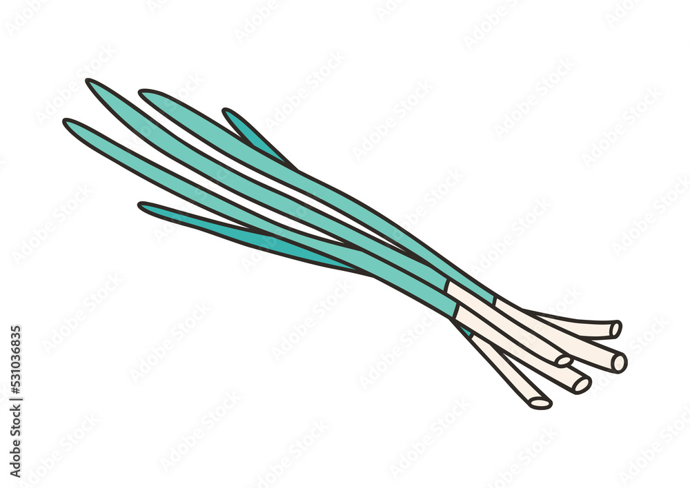 Green onion, chives - vector illustration in cartoon style. Objects isolated on white background. Vector isolated icon. Green onion, chives - vector illustration in cartoon style. Objects isolated on white background. Vector isolated icon.