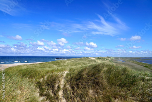Schöne Dünenlandschaft und Strand zwischen der Nordsee und dem Limfjord an einem sonnigen Sommertag, HOCHWERTIGES BILD, Urlaub in Dänemark, Lemvig, Natur, Tourismus, Reisen