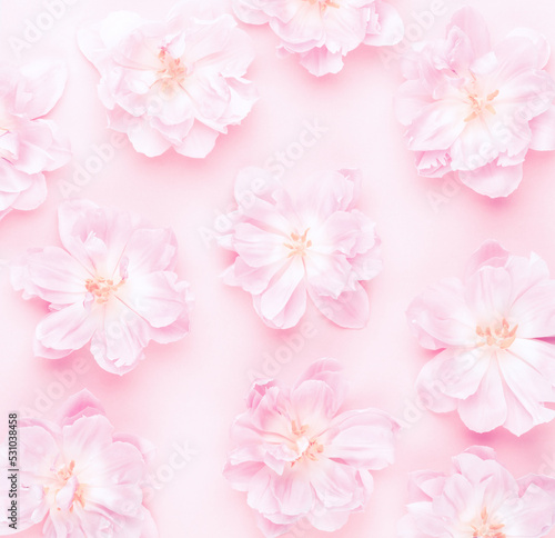 Pink tulips blossom pattern on pastel background. © gitusik