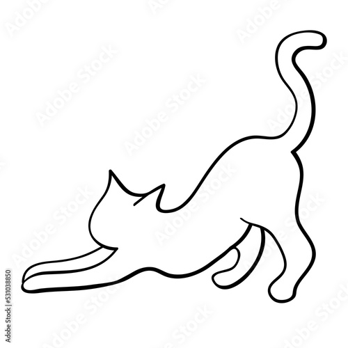 Cat outline illustration with black thin line. PNG with transparent background.