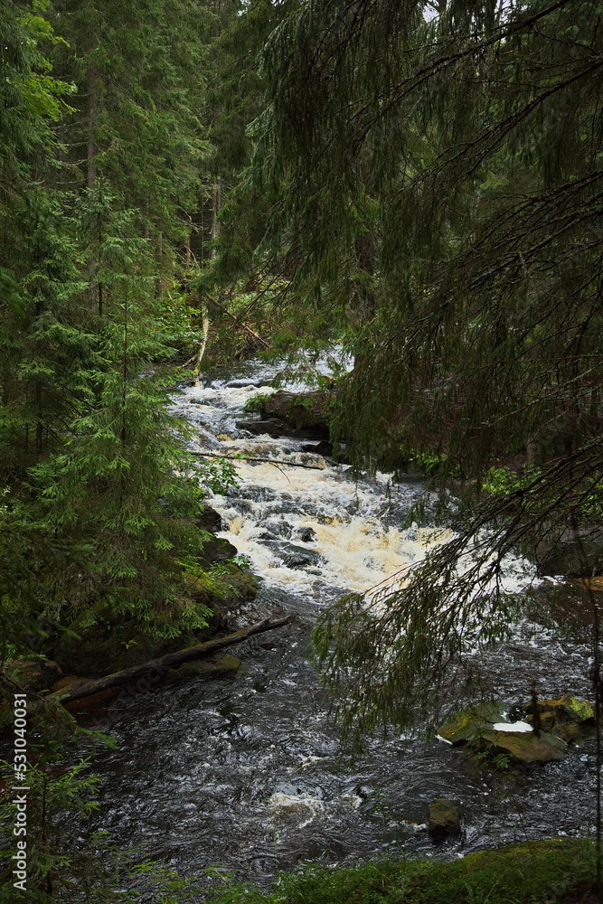 A small mountain river in the Karelian forest. A small mountain river in the Karelian forest.