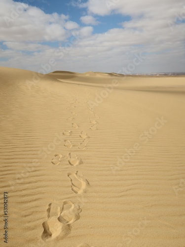 Human foot print on the sand in Fayoum desert in Egypt
