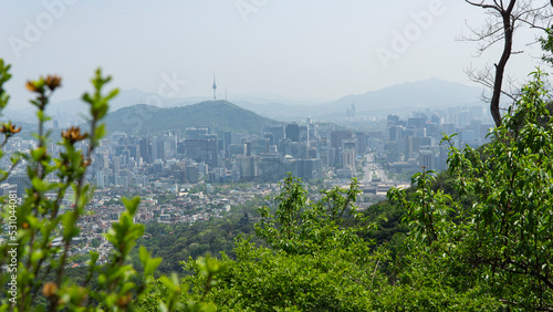 Seoul city view from the mountain © ero