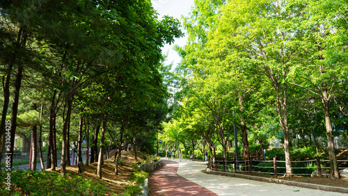 small park in the city