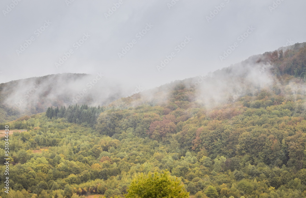 Fototapeta premium Mountain slope with deciduous forest in fog. Mountain slope on a cloudy overcast morning. Misty mountains in summer. Beautiful cloudy morning in the mountains. Carpathians. Ukraine