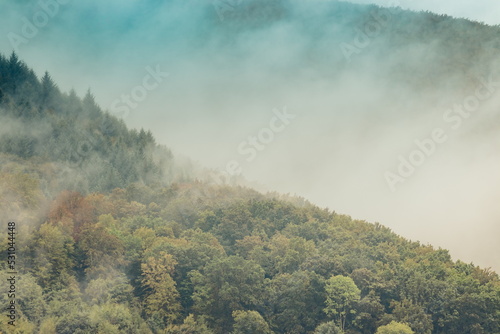 Mountain slope with deciduous forest in fog. Mountain slope on a cloudy overcast morning. Misty mountains in summer. Beautiful cloudy morning in the mountains. Carpathians. Ukraine © decorator