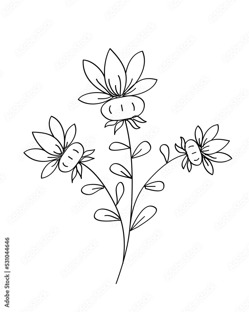 Obraz premium Outline flower with black thin line, floral design element, decorative line art illustration.