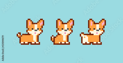 Pixel art Corgi puppy dog - editable vector. Corgi dog sit and stand. Cute pet in 8-bit retro computer game style. Pixel Pet for badge, sticker and print design