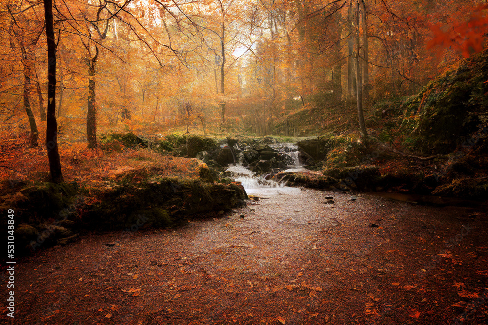 Fototapeta premium Path running through yellow fall forest, digital art