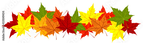 Autumn colorful fallen leaves. Decorative border ornament of bright green yellow orange red dry brown acer leaf. Vector illustration. Fall season. Design element for presentation. Flyer. Poster. Card.