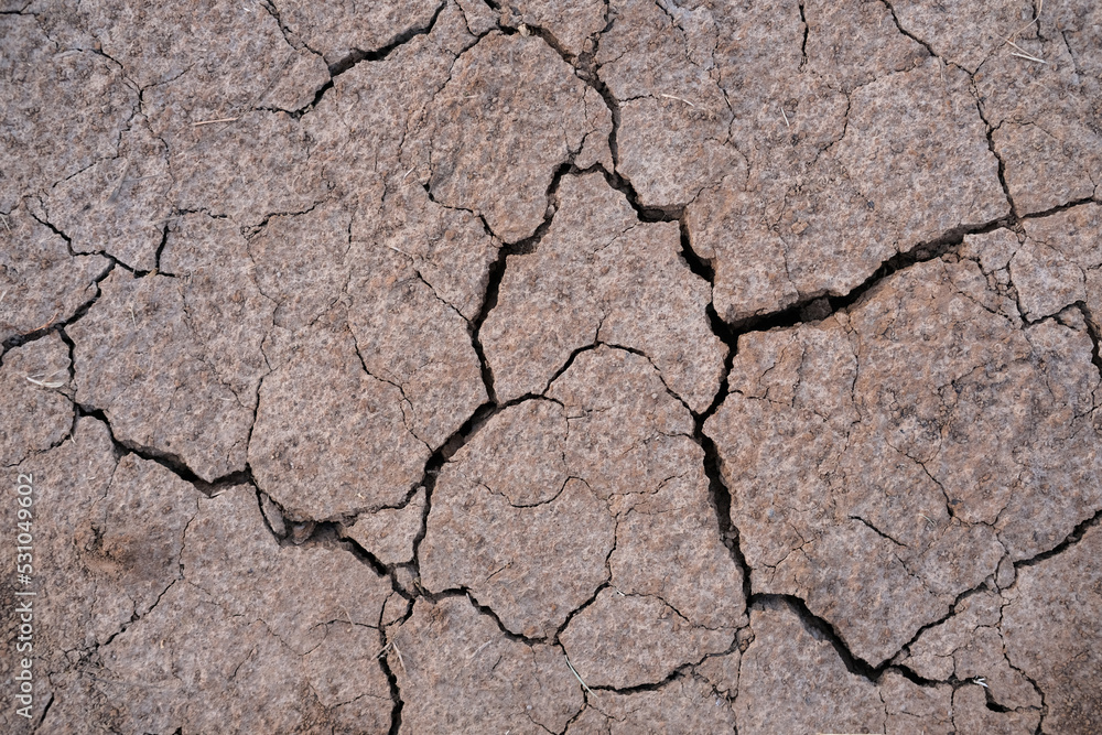 Dry cracked soil. Environment problems Dry cracked soil. Environment problems
