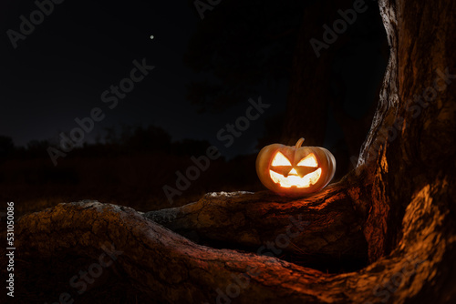 Pumpkin for Halloween at night in the forest, standing on large pine roots, eyes glowing. © Provokator