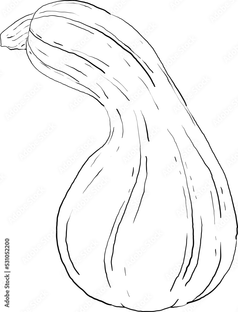 hand drawn, a picture of a pumpkin from a simple sketch 24 hand drawn, a picture of a pumpkin from a simple sketch 24